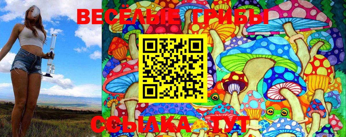 закладка  Галлюциногенные грибы Psilocybine cubensis  Североуральск  Вход с VPN  Галлюциногенные грибы ЛСД 